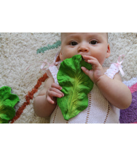 Natural Rubber Teether | Kendall the Kale - Moo Like a Monkey