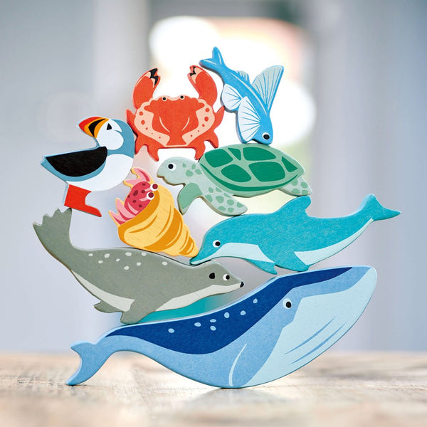 Coastal Creatures | Dolphin